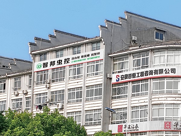 找杀虫公司不能只看价格